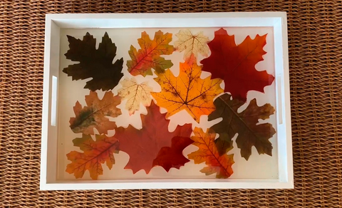 Epoxy table top art resin serving tray with fall color leaves.